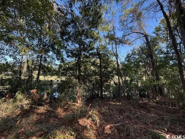 $450,000 | Lot 227 Summerwood Lane, Georgetown, SC 29440