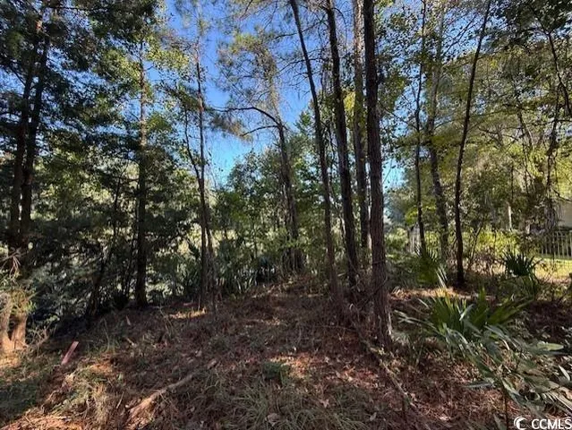 $450,000 | Lot 227 Summerwood Lane, Georgetown, SC 29440