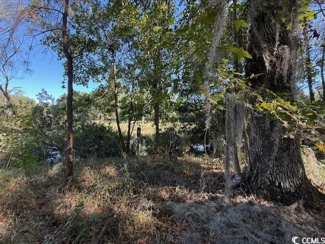 $450,000 | Lot 227 Summerwood Lane, Georgetown, SC 29440