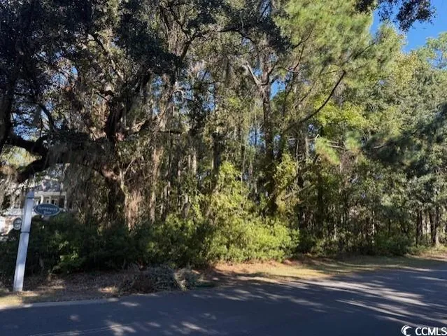 $450,000 | Lot 227 Summerwood Lane, Georgetown, SC 29440