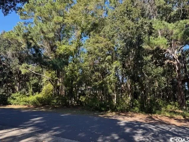$450,000 | Lot 227 Summerwood Lane, Georgetown, SC 29440