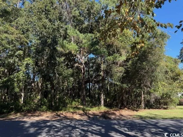 $450,000 | Lot 227 Summerwood Lane, Georgetown, SC 29440