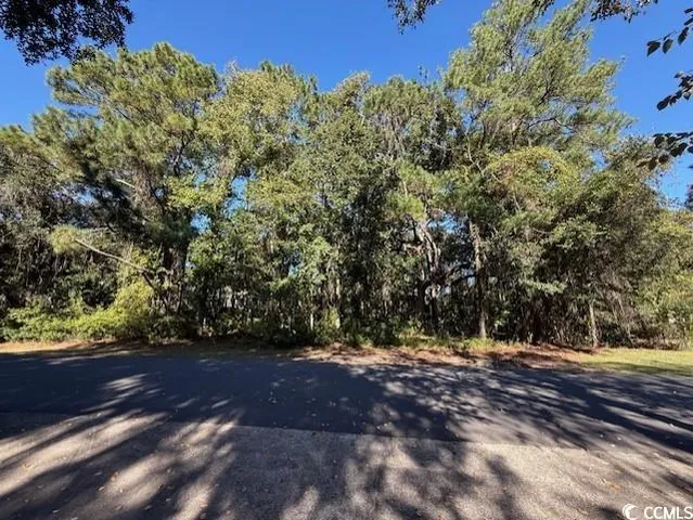 $450,000 | Lot 227 Summerwood Lane, Georgetown, SC 29440