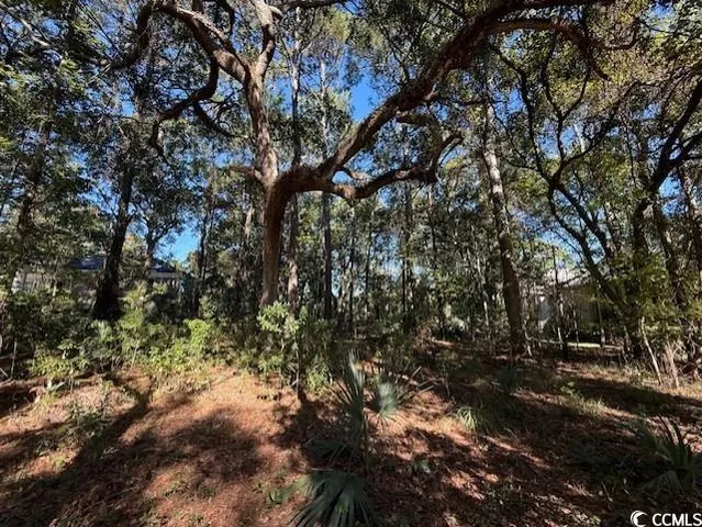 $450,000 | Lot 227 Summerwood Lane, Georgetown, SC 29440