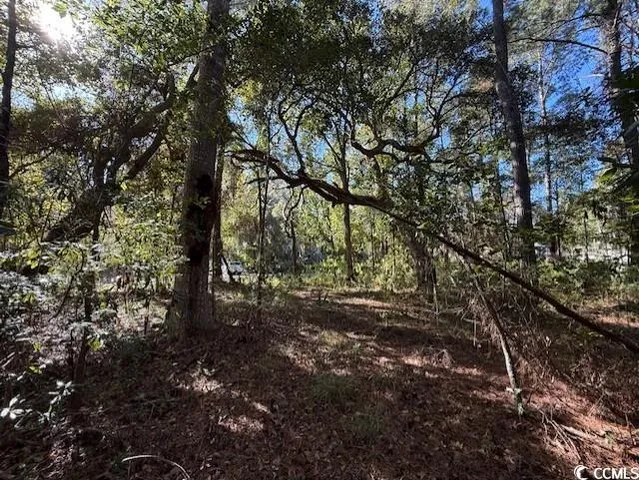 $450,000 | Lot 227 Summerwood Lane, Georgetown, SC 29440