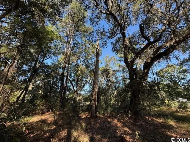 $450,000 | Lot 227 Summerwood Lane, Georgetown, SC 29440