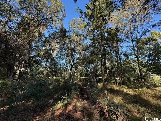 $450,000 | Lot 227 Summerwood Lane, Georgetown, SC 29440