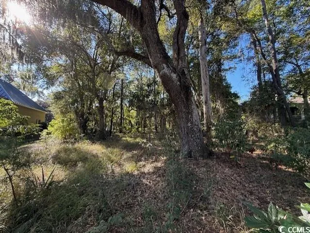 $450,000 | Lot 227 Summerwood Lane, Georgetown, SC 29440