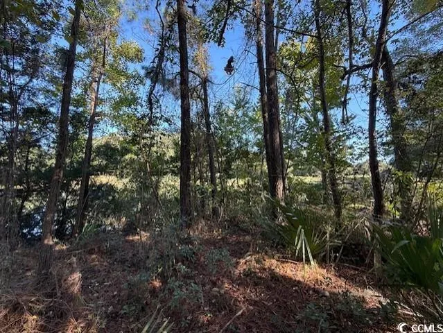 $450,000 | Lot 227 Summerwood Lane, Georgetown, SC 29440