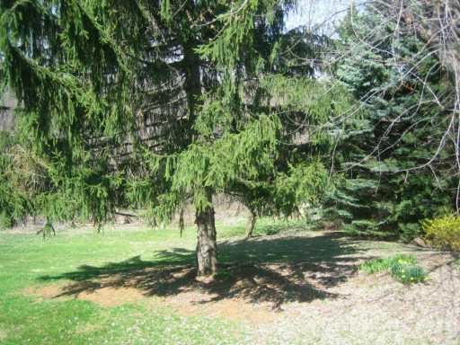 12739 Ridge Road North Huntingdon, PA 15642 - Photo 7 of 8 Other.