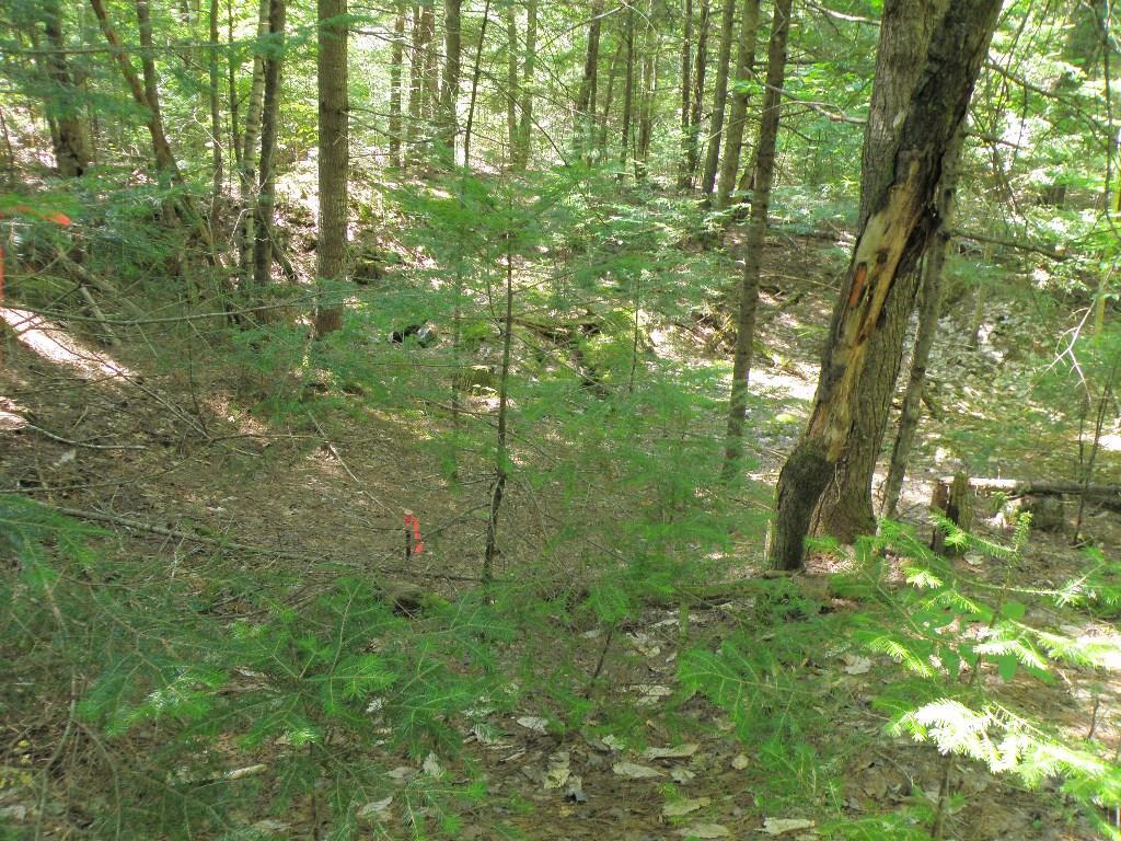 72 West Old Main Road Burlington, ME 04417 - Photo 17 of 17 Photo