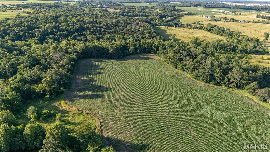 0 Gentry Road Monroe City, MO 63456 - Photo 18 of 19