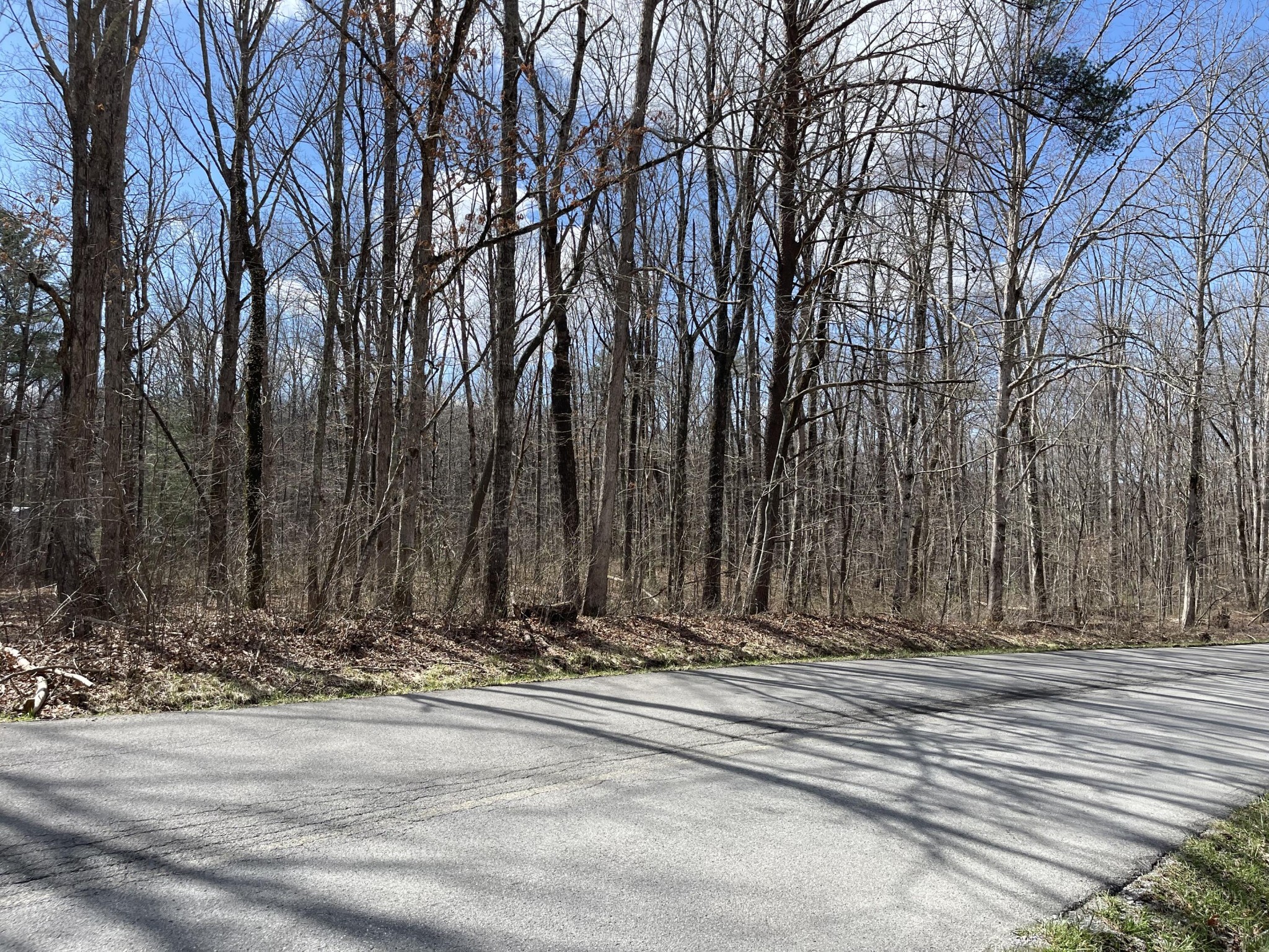 1979 Deerhead Road Dunlap, TN 37327 - Photo 8 of 16 Gallery Image 8