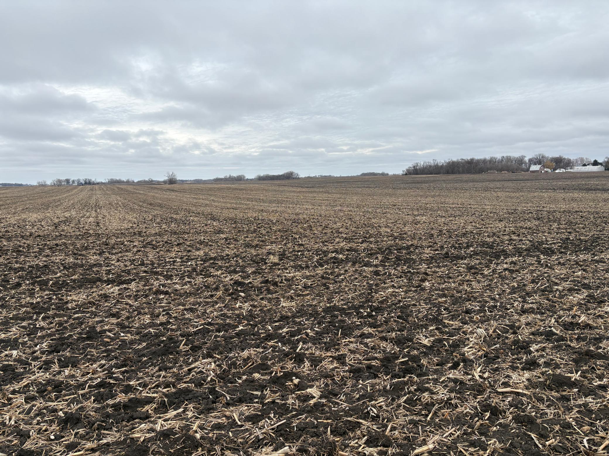 2075 80th Street Southwest Montevideo, MN 56265 - Photo 24 of 79