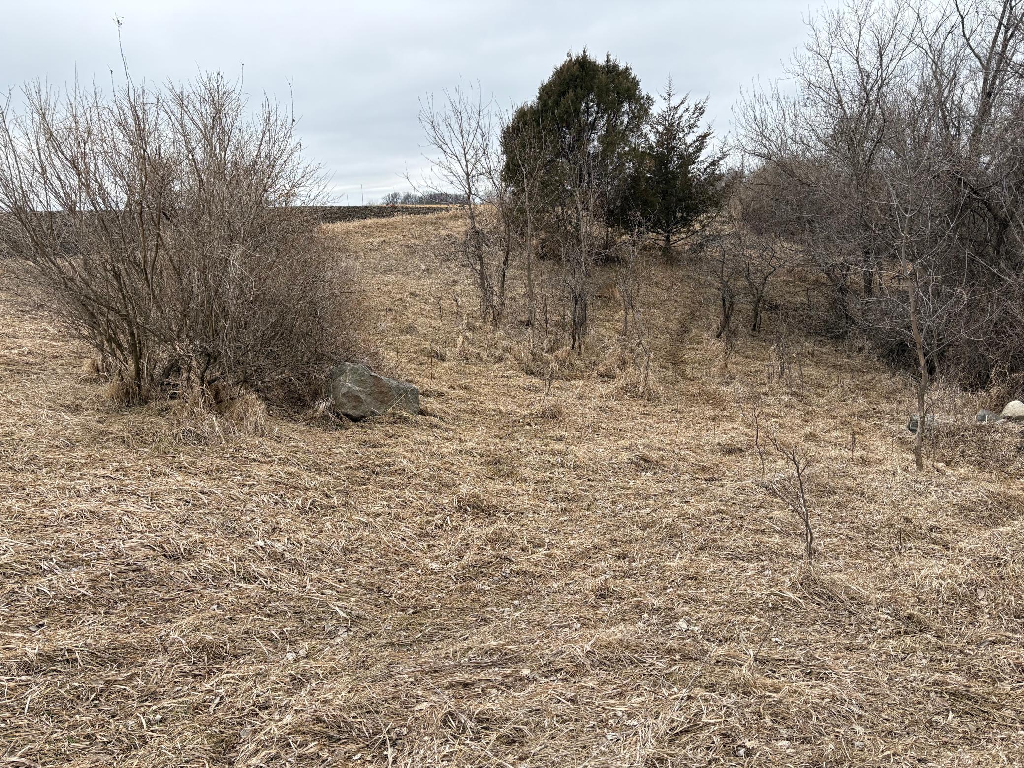 2075 80th Street Southwest Montevideo, MN 56265 - Photo 26 of 79