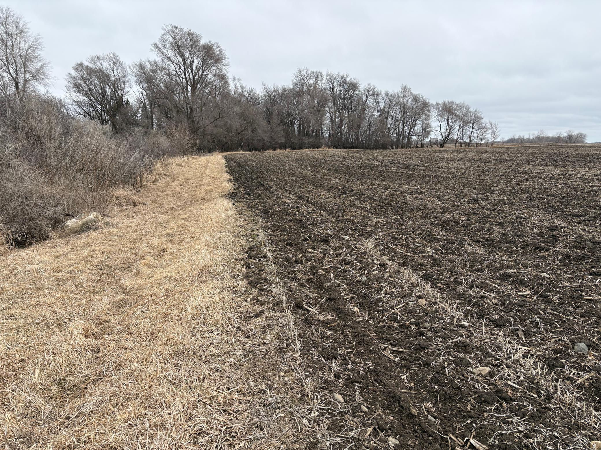 2075 80th Street Southwest Montevideo, MN 56265 - Photo 3 of 79