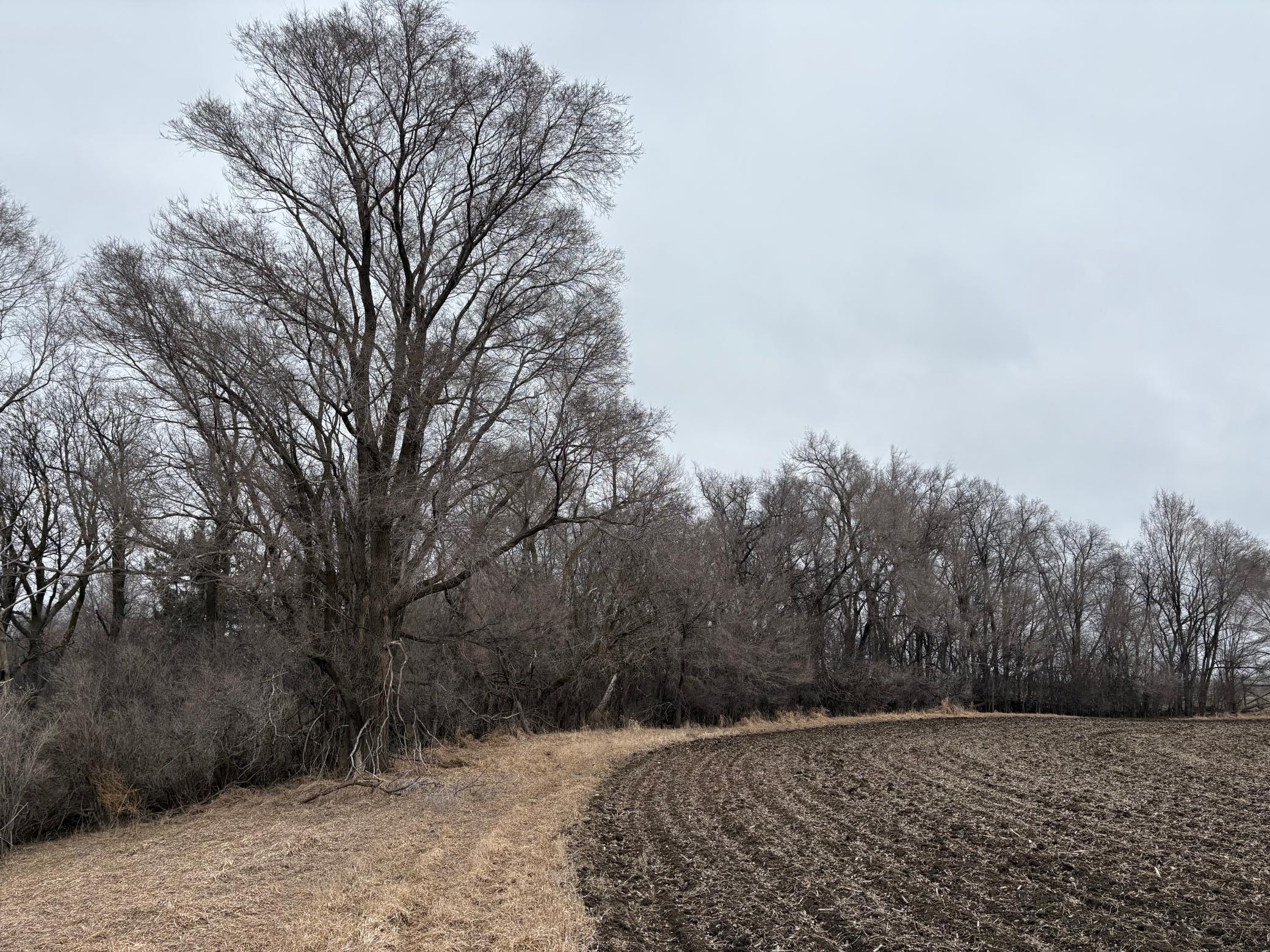 2075 80th Street Southwest Montevideo, MN 56265 - Photo 34 of 79