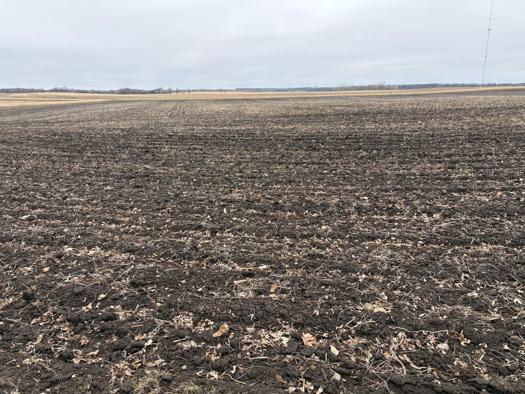 2075 80th Street Southwest Montevideo, MN 56265 - Photo 35 of 79