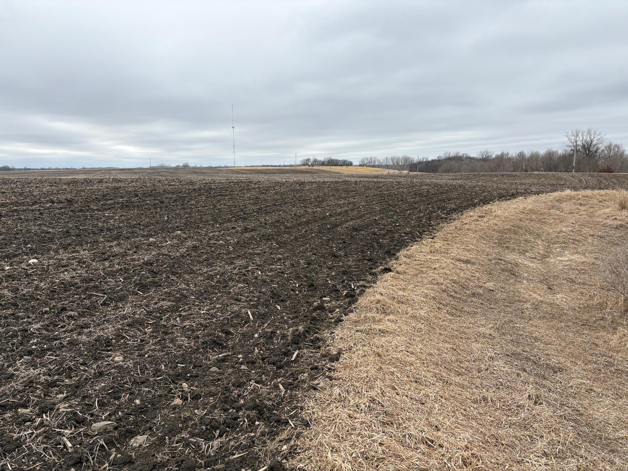 2075 80th Street Southwest Montevideo, MN 56265 - Photo 8 of 79
