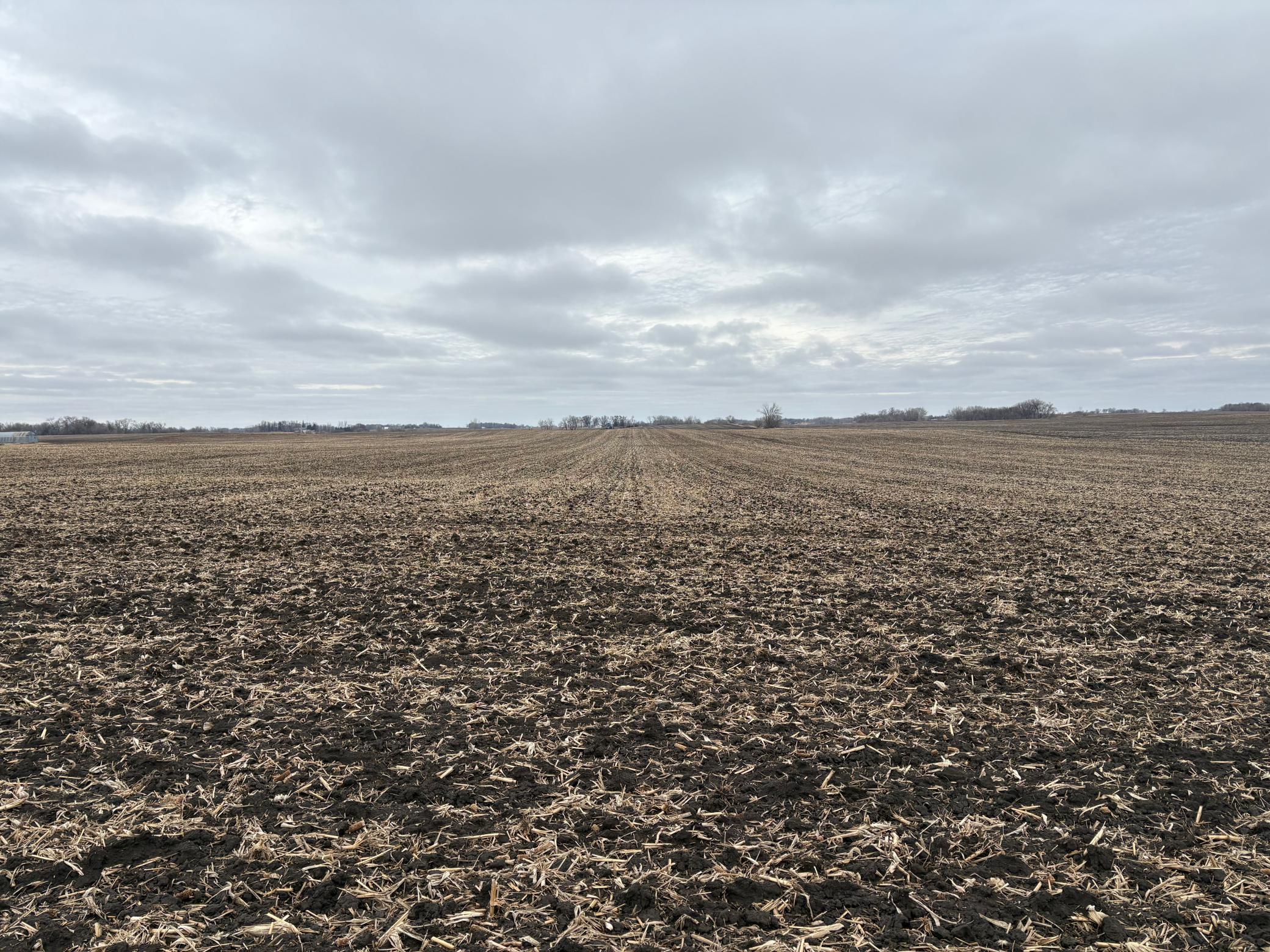 2075 80th Street Southwest Montevideo, MN 56265 - Photo 10 of 79