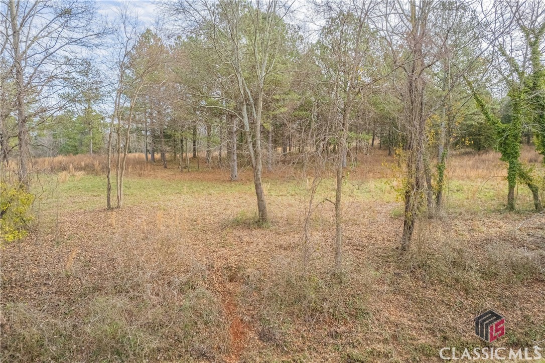 460 Old Airport Road, Unit LOT 3 Commerce, GA 30530 - Photo 13 of 36