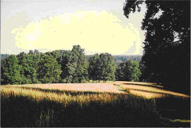 5565 Taylor Cemetery Road Franklin, TN 37064 - Photo 1 of 15 Gallery Image 1