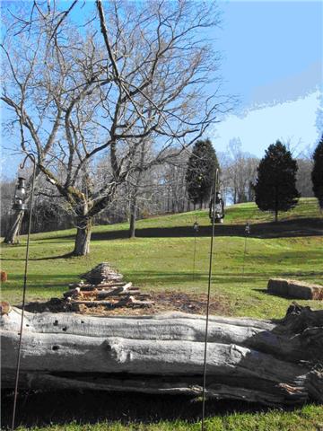 5565 Taylor Cemetery Road Franklin, TN 37064 - Photo 14 of 15 Gallery Image 14