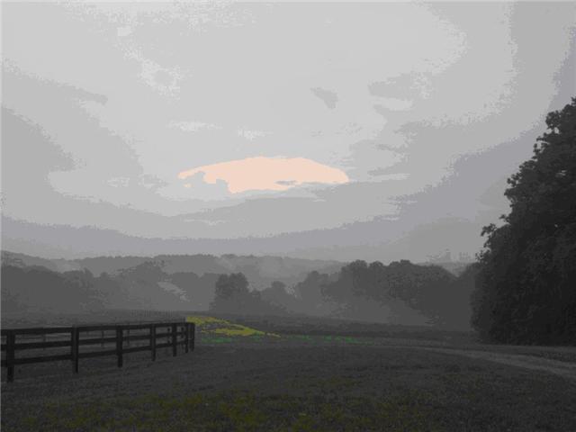 5565 Taylor Cemetery Road Franklin, TN 37064 - Photo 3 of 15 Gallery Image 3