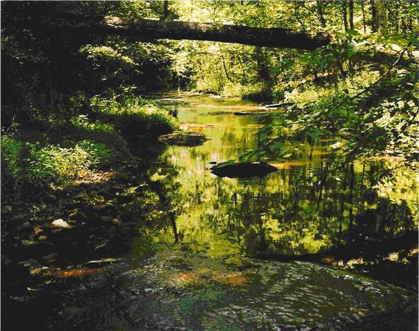 5565 Taylor Cemetery Road Franklin, TN 37064 - Photo 4 of 15 Gallery Image 4