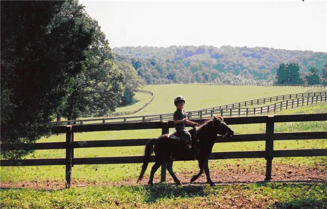 5565 Taylor Cemetery Road Franklin, TN 37064 - Photo 6 of 15 Gallery Image 6