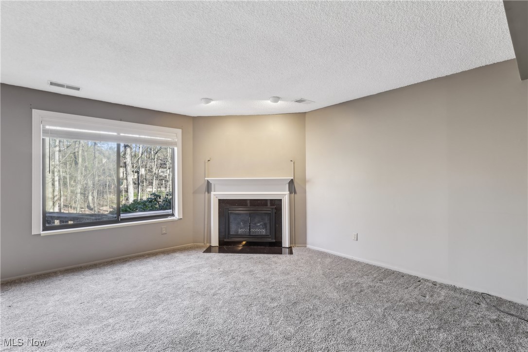 764 Hampton Ridge Drive Akron, OH 44313 - Photo 13 of 33 Living room with fireplace.