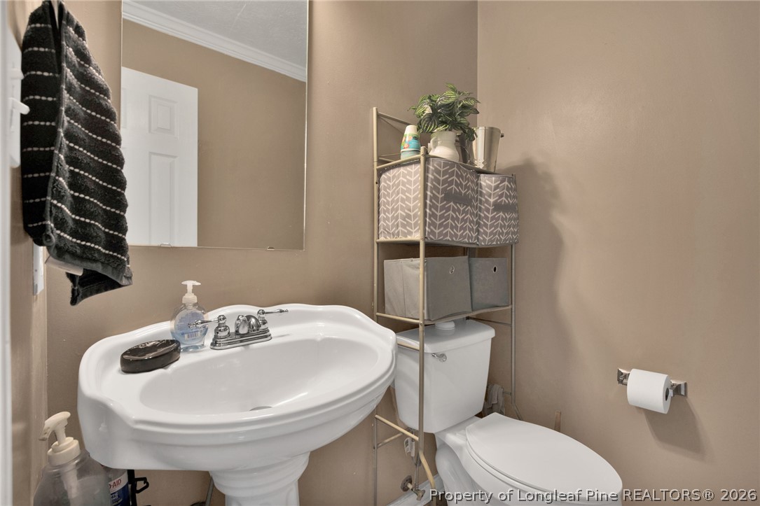 429 Bristlecone Road Fayetteville, NC 28311 - Photo 18 of 38 a bathroom with a sink a toilet and mirror
