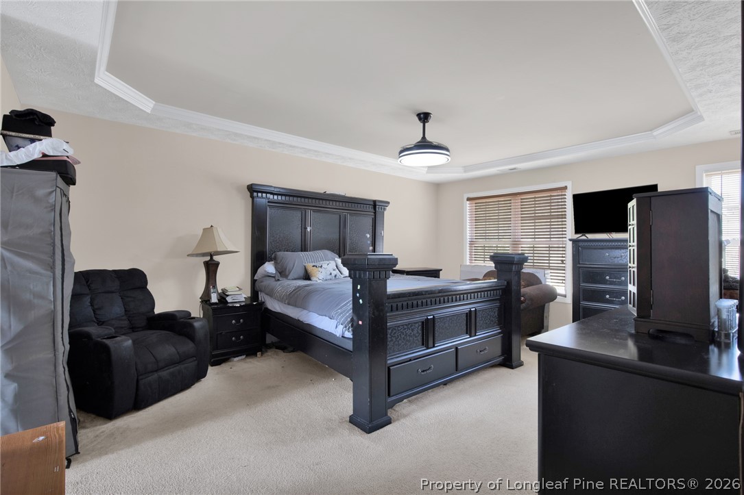 429 Bristlecone Road Fayetteville, NC 28311 - Photo 19 of 38 a bedroom with furniture and a flat screen tv