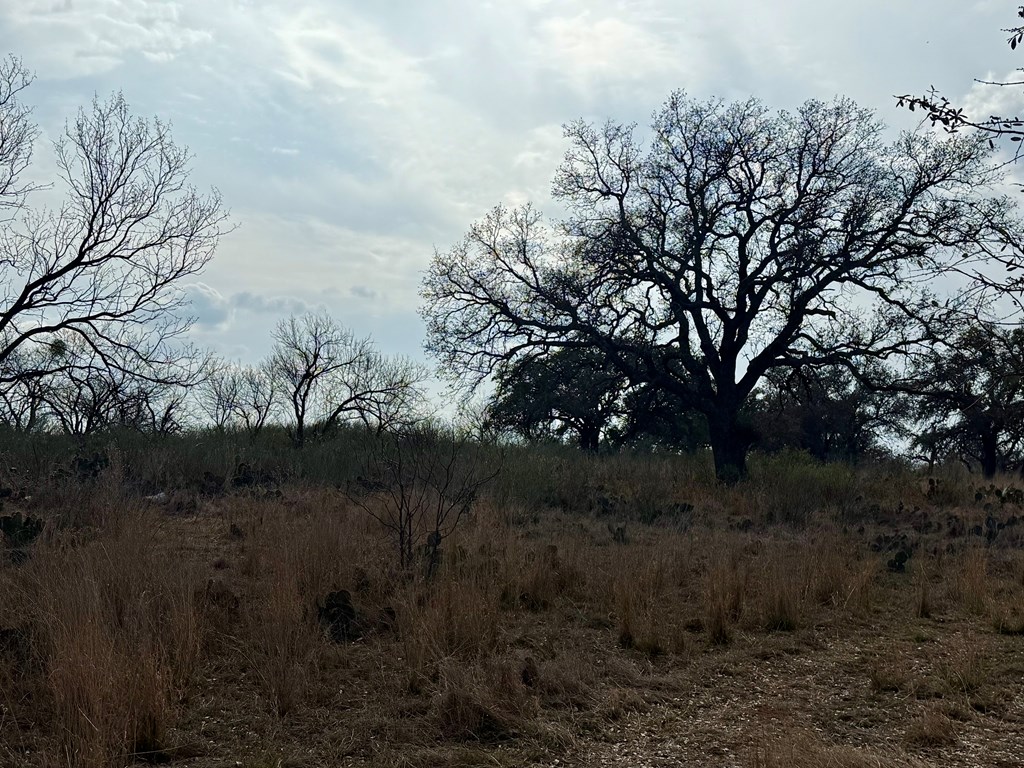 0 Simonsville Road Mason, TX 76856 - Photo 2 of 4