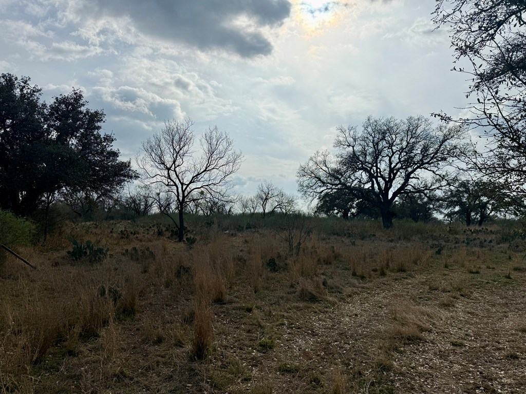 0 Simonsville Road Mason, TX 76856 - Photo 3 of 4