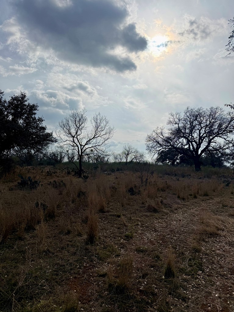 0 Simonsville Road Mason, TX 76856 - Photo 4 of 4