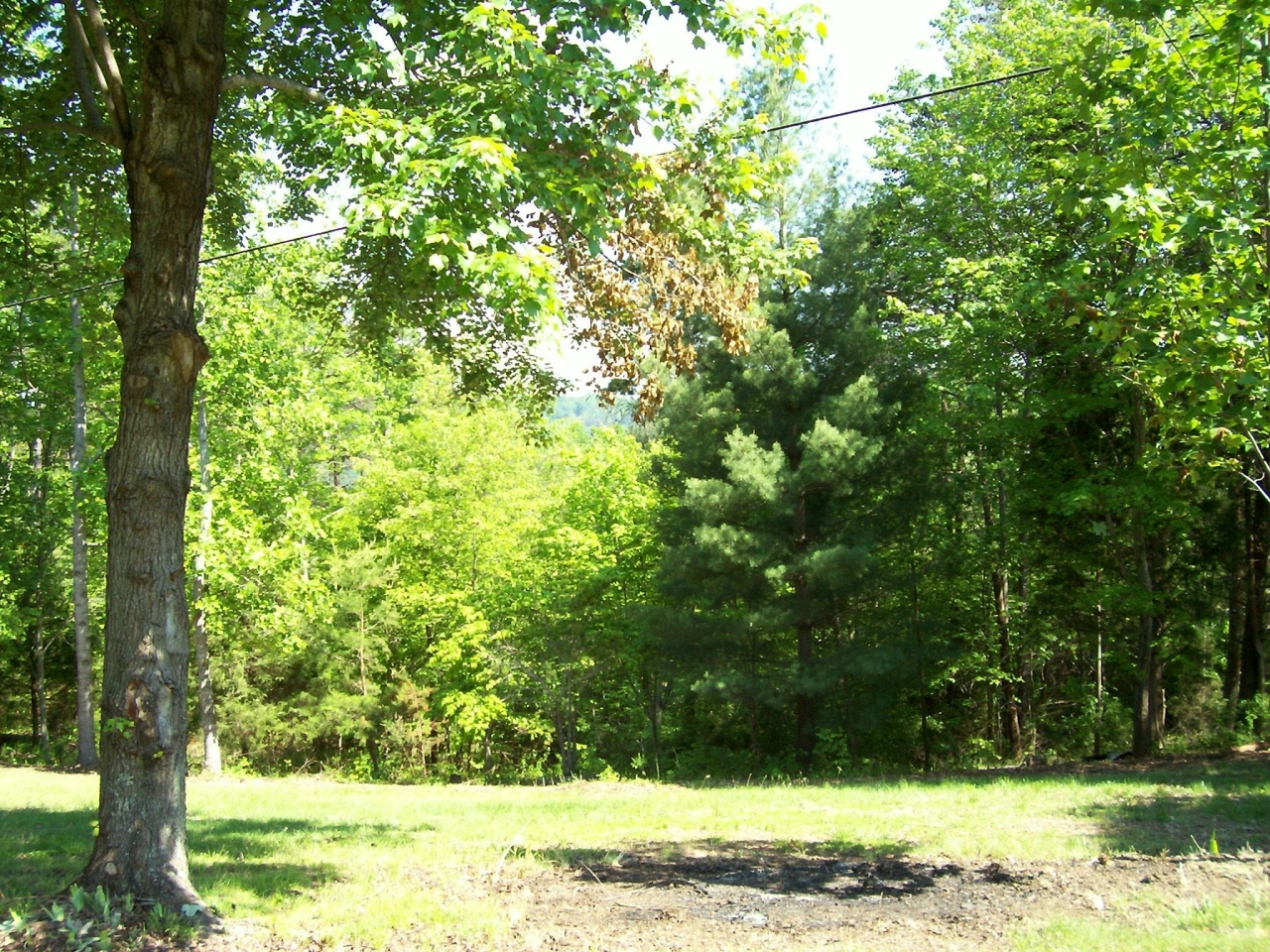 1216 Ellis Road Hardy, VA 24101 - Photo 16 of 19 Outside