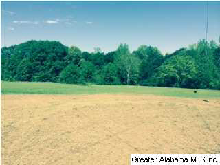 2008 Tabor Road Gadsden, AL 35904 - Photo 19 of 21