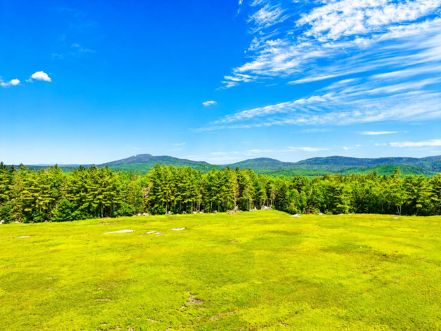 Map13-lot1 Martins Ridge Road Franklin, ME 04634 - Photo 1 of 21 LOT 1