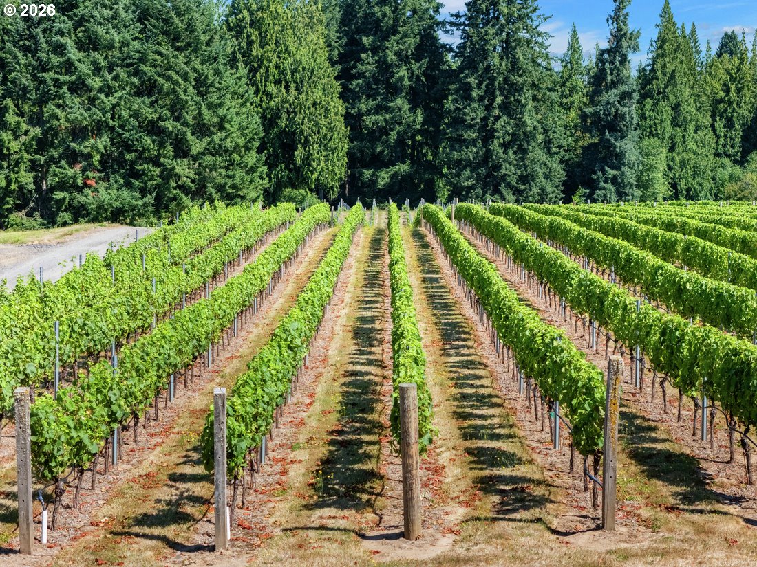 1510 South 39th Place, Unit L41 Ridgefield, WA 98642 - Photo 9 of 14