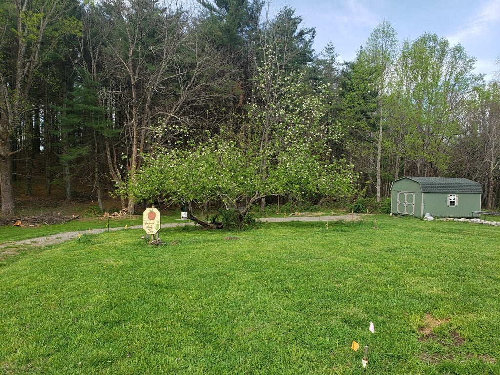989 Briar Patch Mountain Road Fries, VA 24330 - Photo 8 of 39 Gallery Image 8