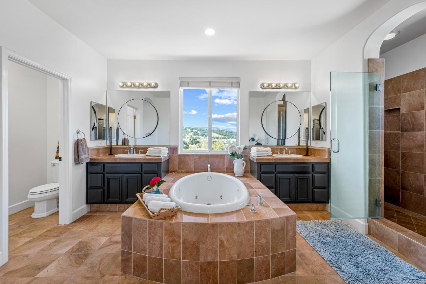 1913 St Andrews Circle Gilroy, CA 95020 - Photo 57 of 79 a bathroom with a sink a toilet and shower