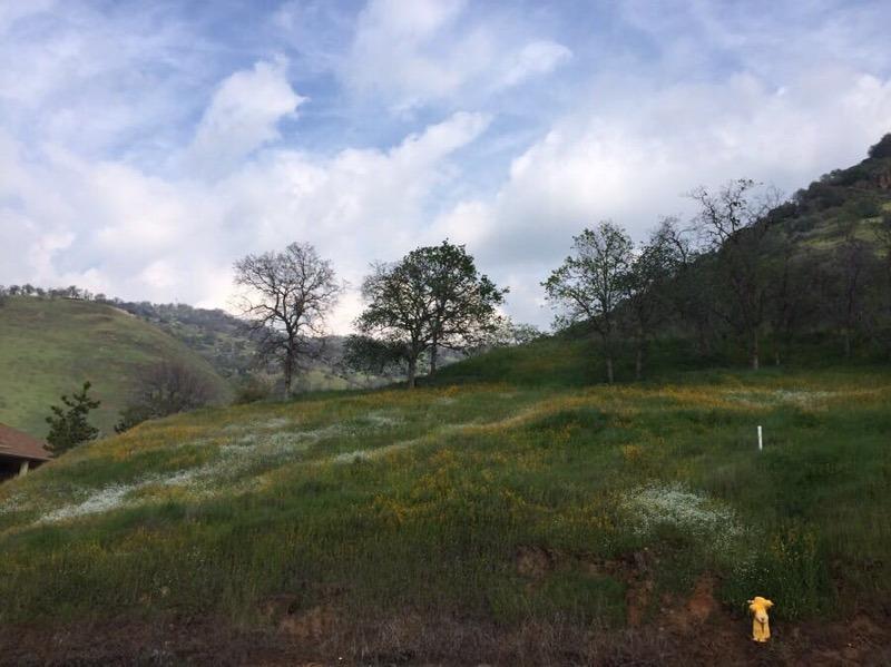 42360 Corral Drive Three Rivers, CA 93271 - Photo 1 of 15 Primary Photo