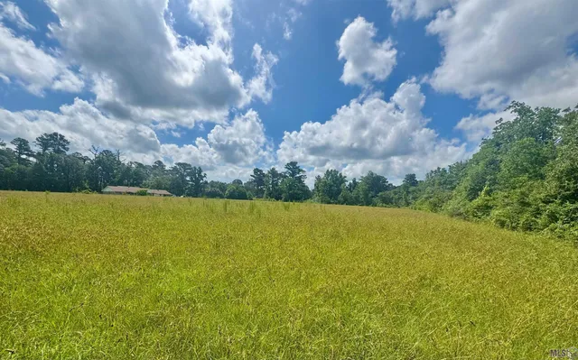 $349,000 | Tbd Aydell Lane, French Settlement, LA 70733