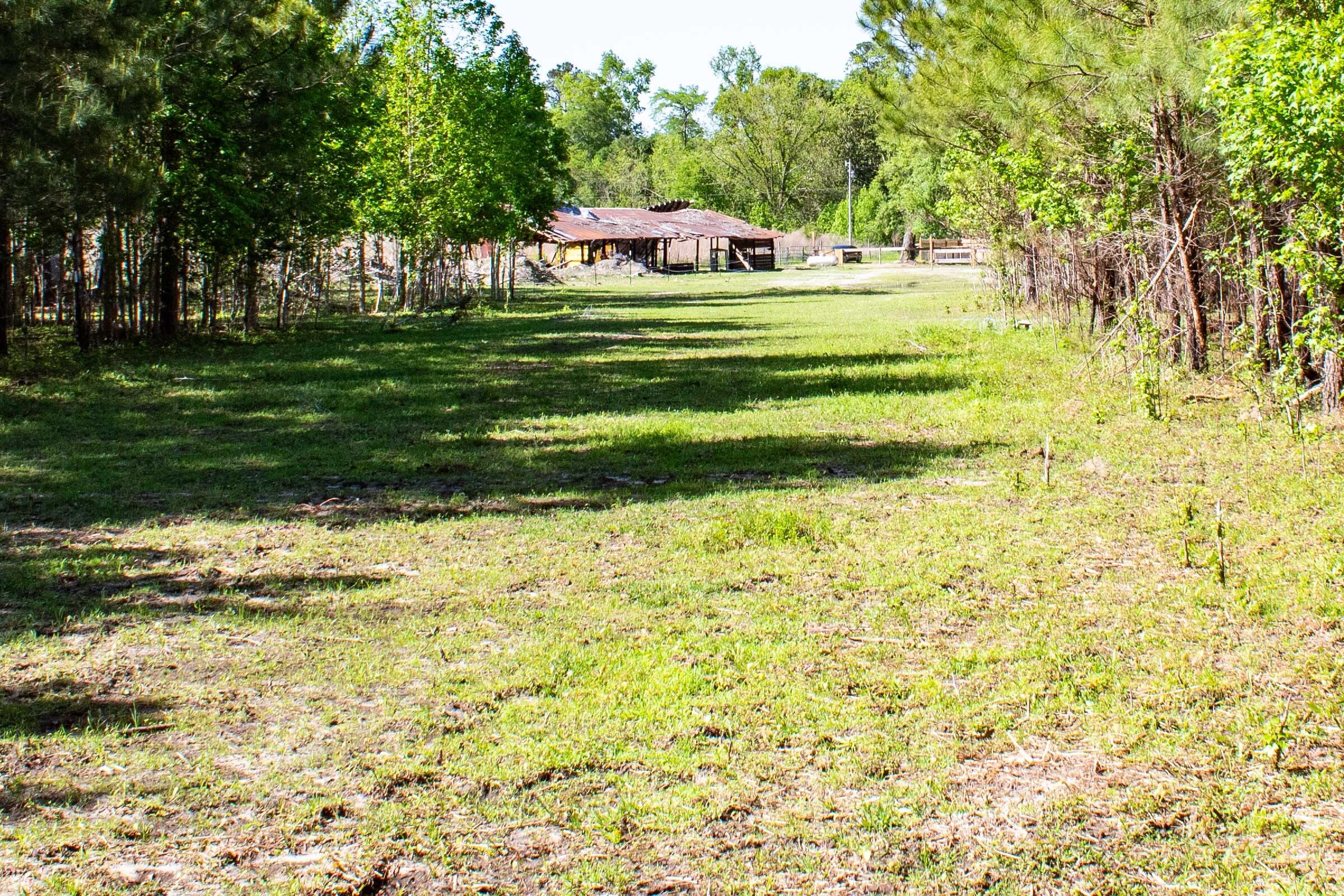 589 Hudson Mill Road Walterboro, SC 29488 - Photo 23 of 29 IMG_1823