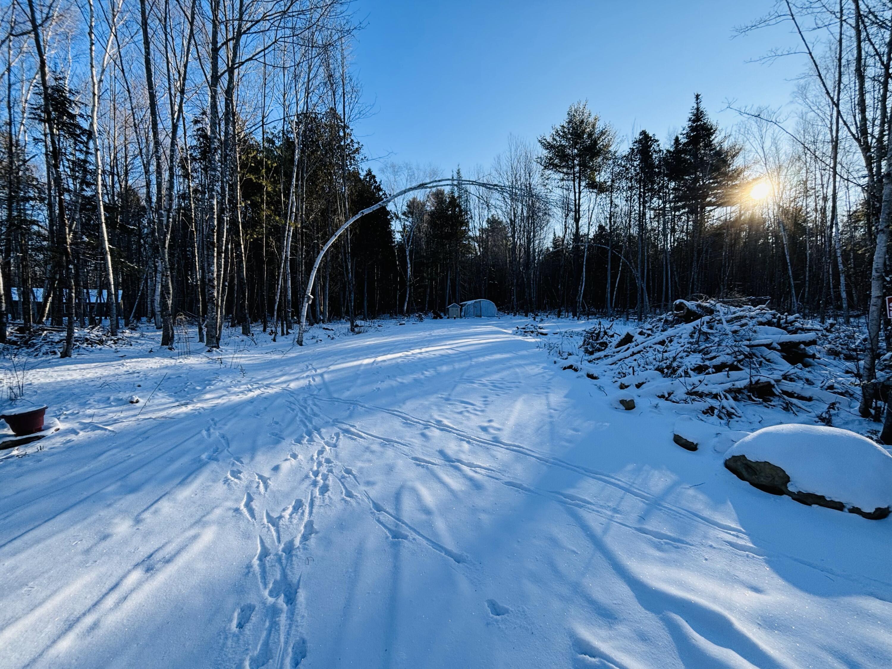 Tbd Tbd Jamie Road Newport, ME 04953 - Photo 7 of 14 7