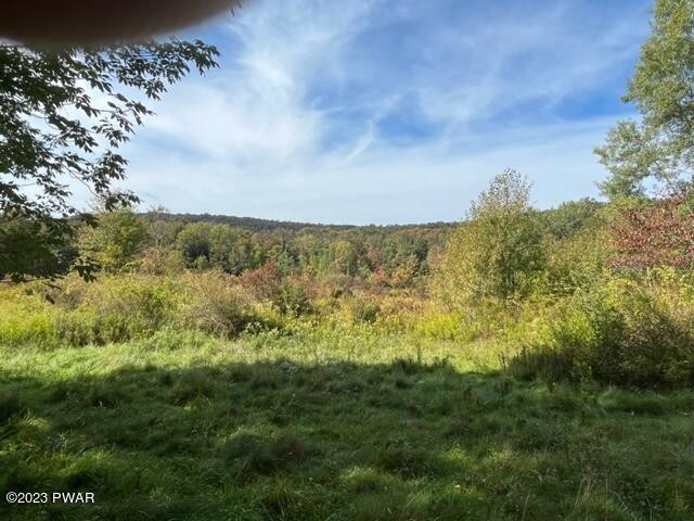 43 Obernburg Road Fremont Center, NY 12736 - Photo 18 of 35 LAND 4