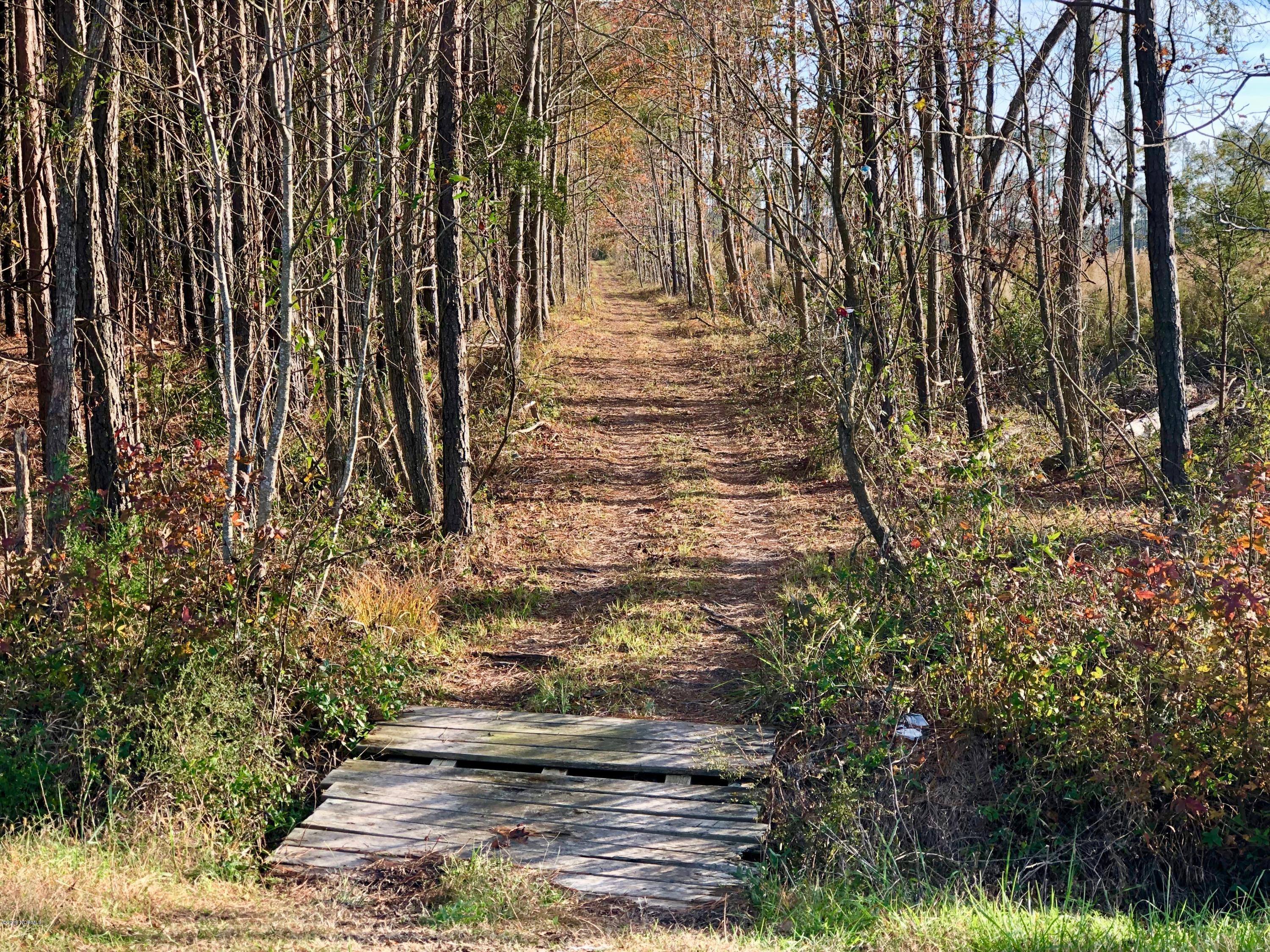 Lot #1 Hodges Road Scranton, NC 27875 - Photo 1 of 9 IMG_1966