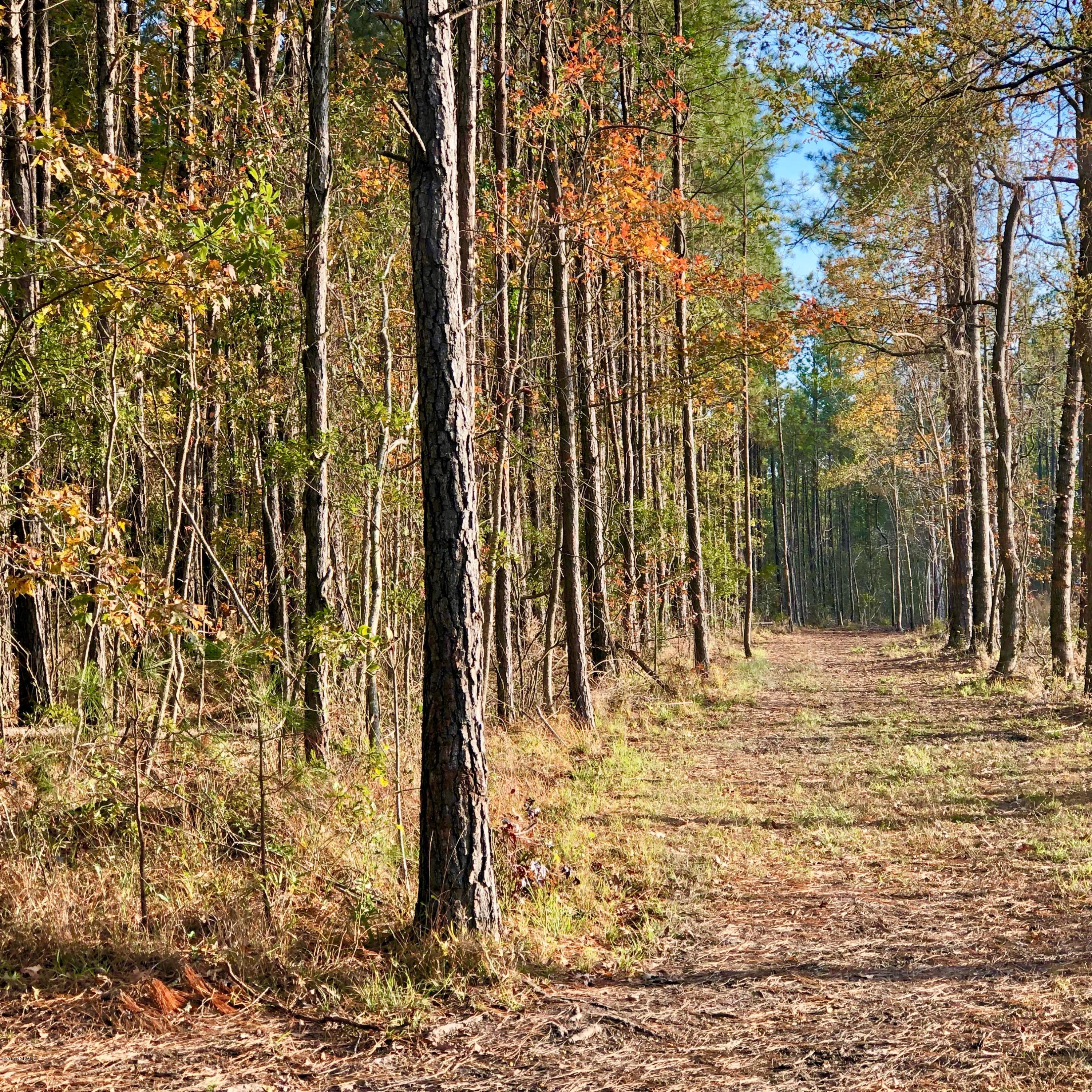 Lot #1 Hodges Road Scranton, NC 27875 - Photo 3 of 9 IMG_1971