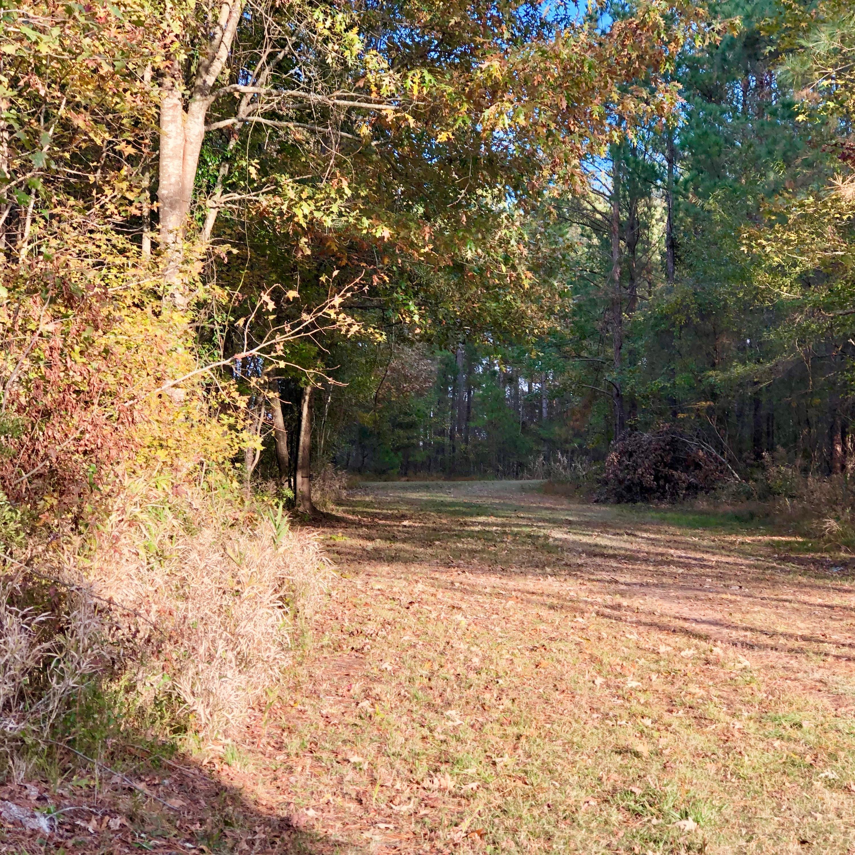 Lot #1 Hodges Road Scranton, NC 27875 - Photo 4 of 9 IMG_1970